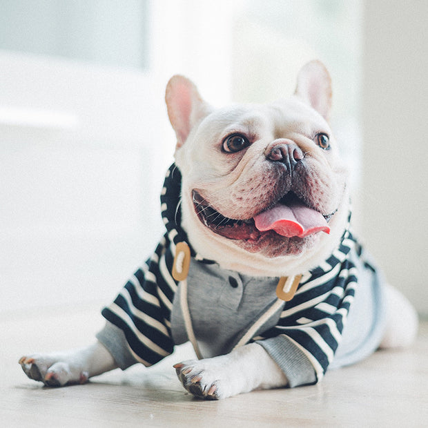 Dog clothes hooded