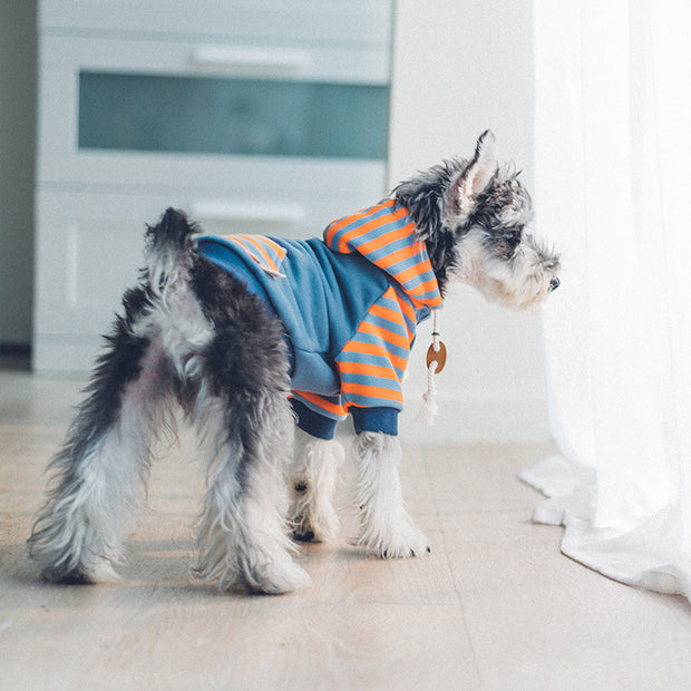 Dog clothes hooded