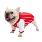 Bulldog dog clothes