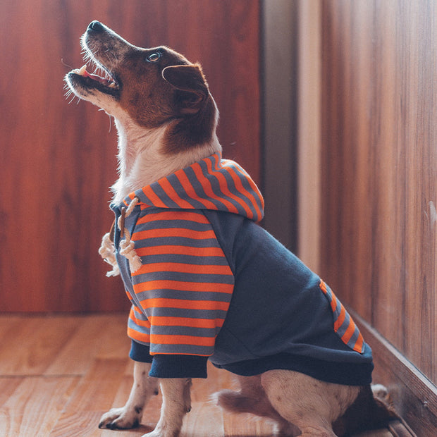 Dog clothes hooded