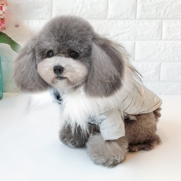 Thicken dog clothes