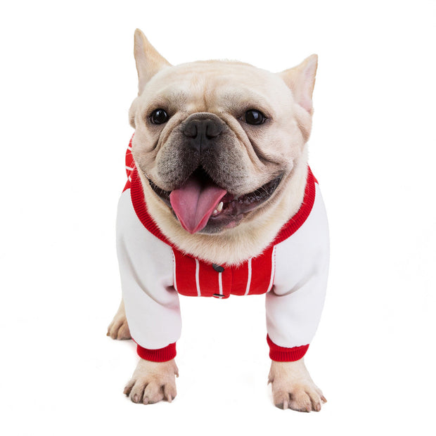 Bulldog dog clothes